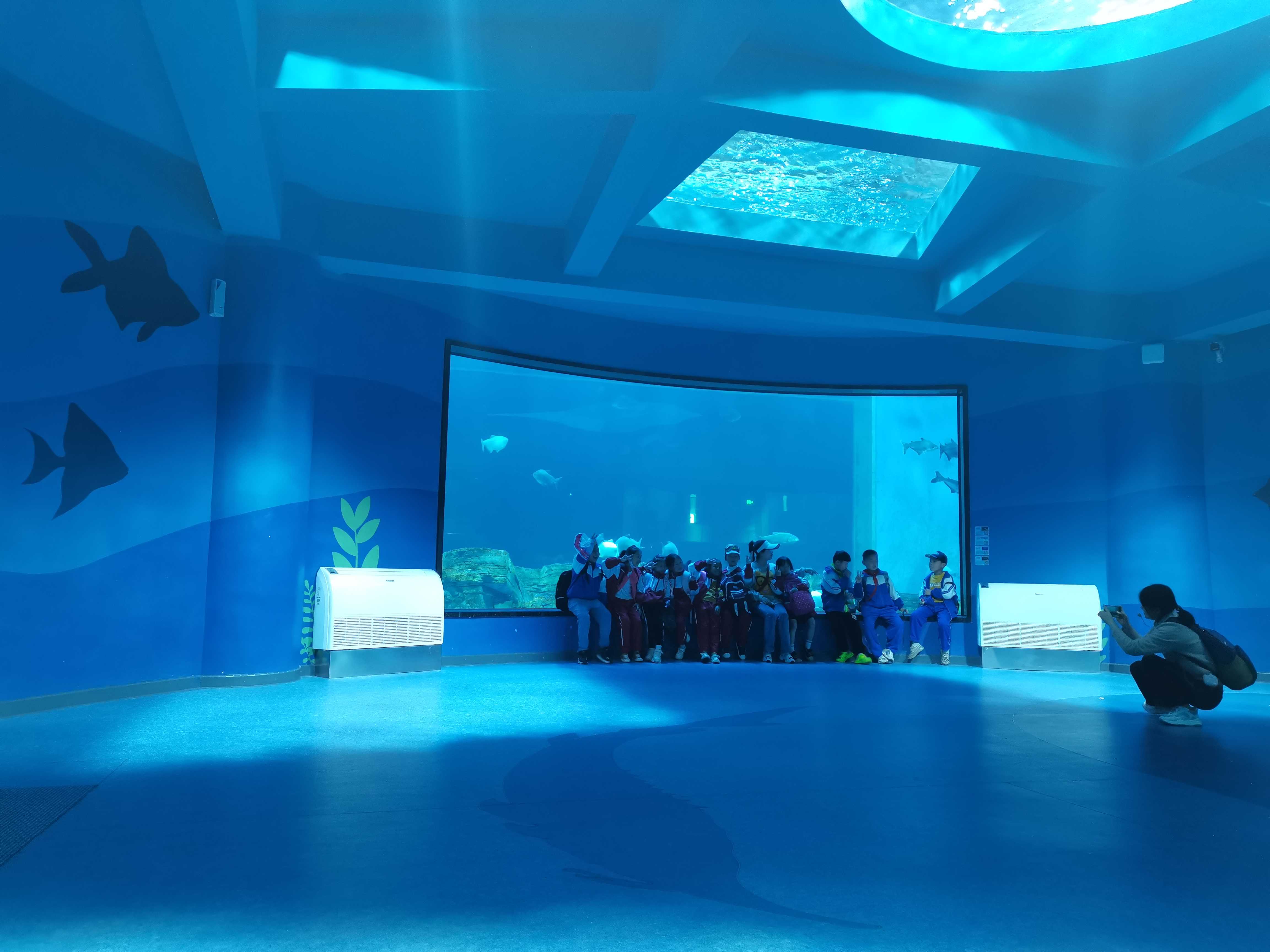 Ocean Park Inn - Лею