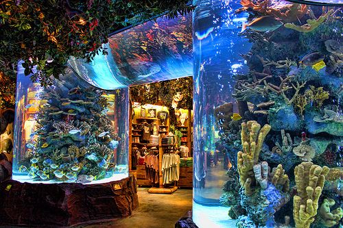 Acrylic vs glass aquarium Акриловый или стеклянный аквариум