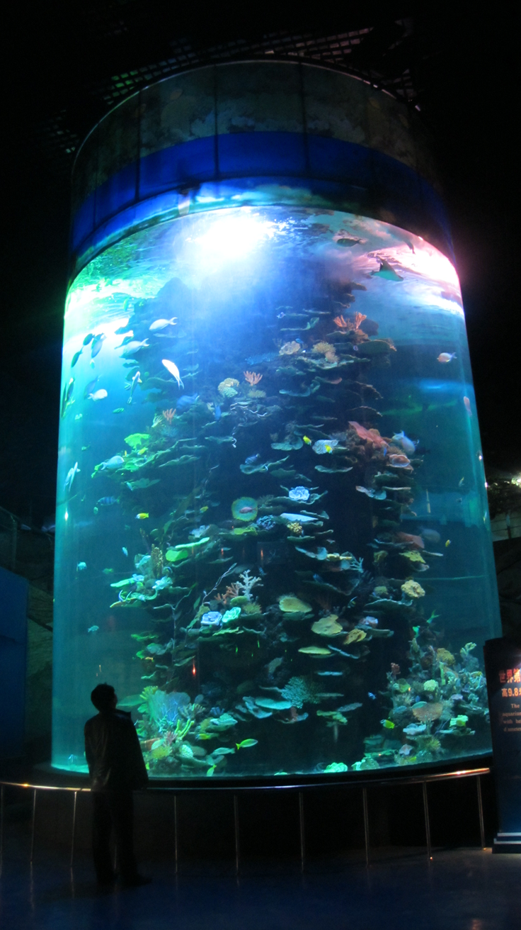 Shandong Penglai Underwater World - Leyu Arylic Cylindrical Aquarim Подводный мир Шаньдун Пэнлай - Цилиндрический аквариум Leyu Arylic