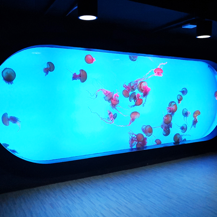 100 gal acrylic aquarium Акриловый аквариум на 100 литров.