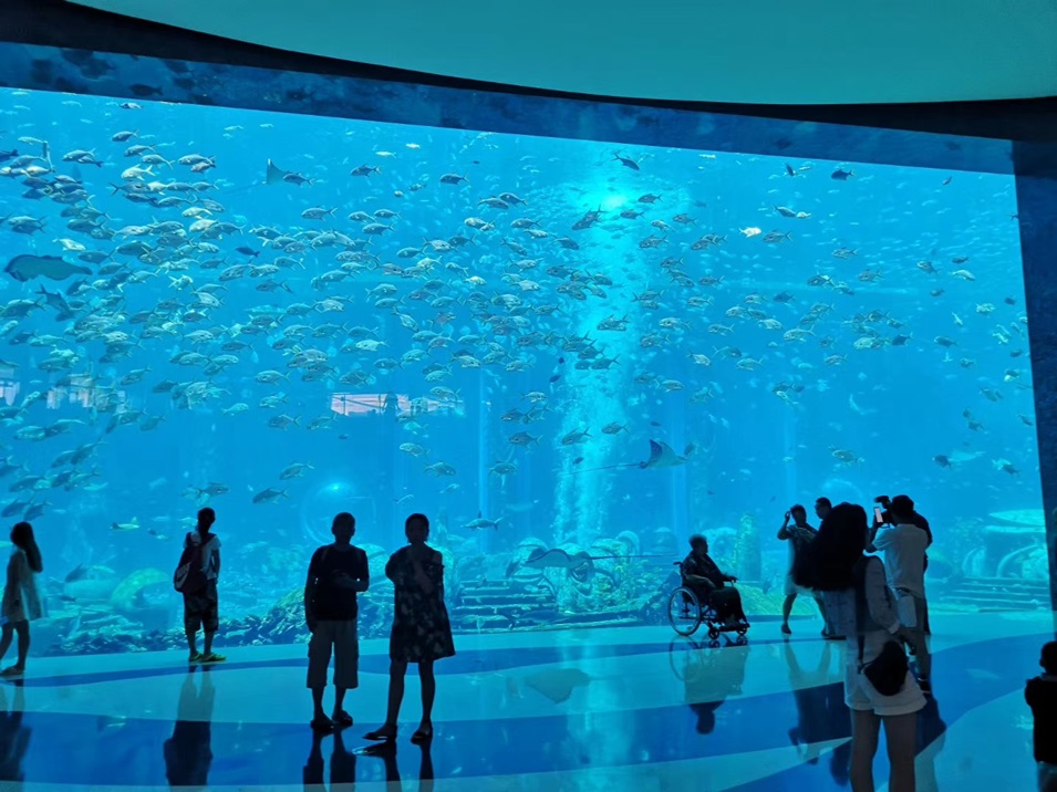 Дали Polar Ocean World - Акриловый аквариум (5)