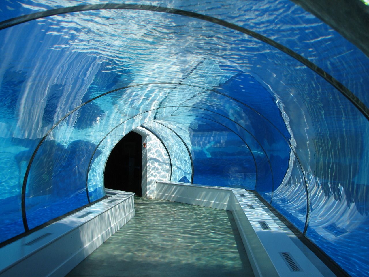 Акриловый туннельный аквариум - LEYU ACRYLIC