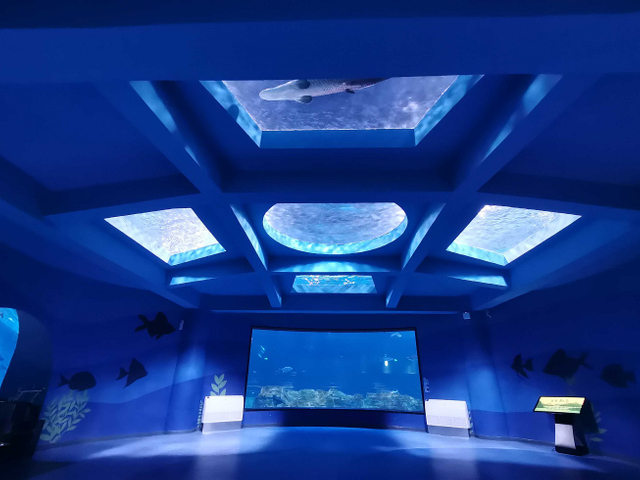 Где находится гостиница Ocean Park - Лею