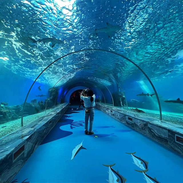 360 Аквариумный Туннель Polar Ocean World, Leyu Professional Custom- Leyu