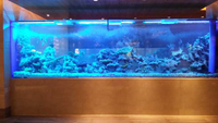//iprorwxhmmkrpj5p.ldycdn.com/cloud/pjBmqKmipmSRploqokojkr/How-to-own-Acrylic-Aquariums-Plastic-Fish-aquariums-Leyu.jpg