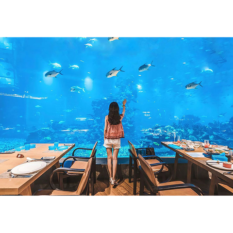 Популярные товары в Ocean Park в Вашингтоне Акриловая фабрика-Leyu - Leyu