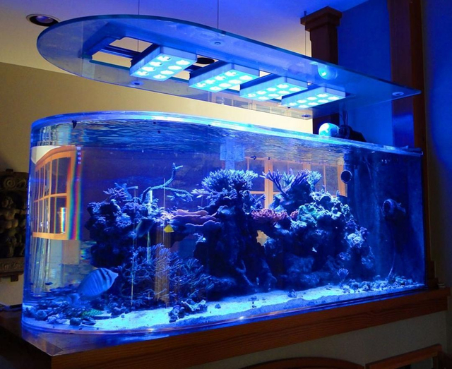 Фабрика акрила Bullet Aquarium специализируется на индивидуальной продукции со сроком годности 20 лет - LEYU