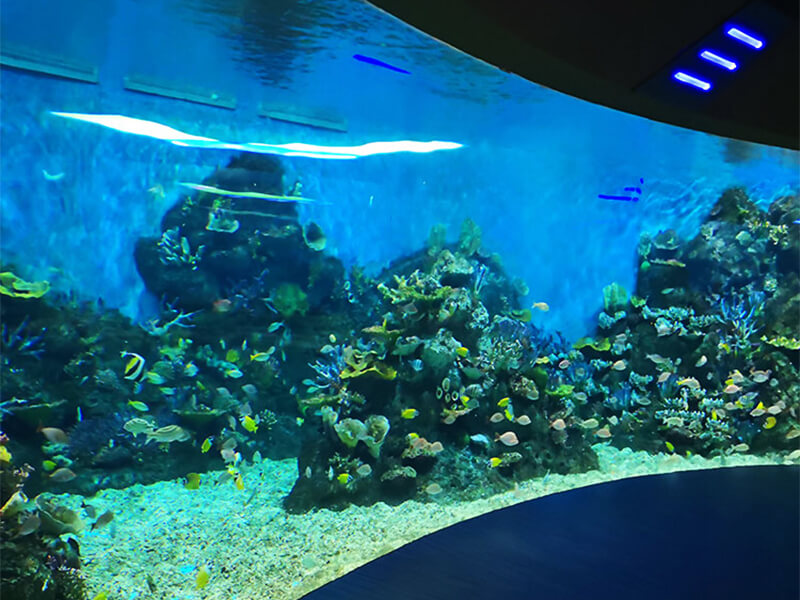Чунцин Ханхай Полярный океанский мир - Leyu Arylic Aquarim