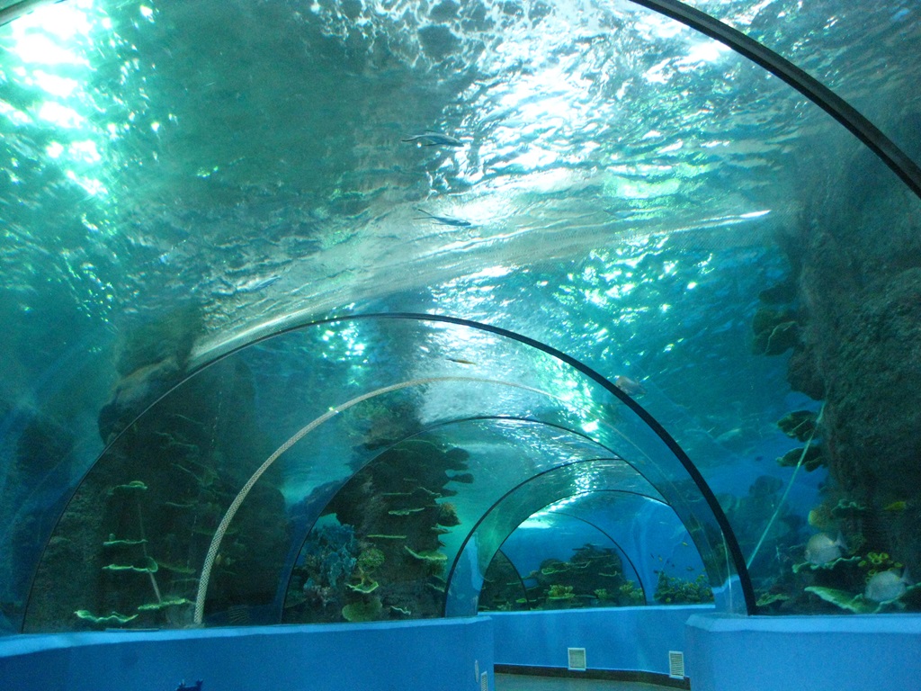 Мир полярного океана Хэфэй Ханхай - Leyu Arylic Aquarim