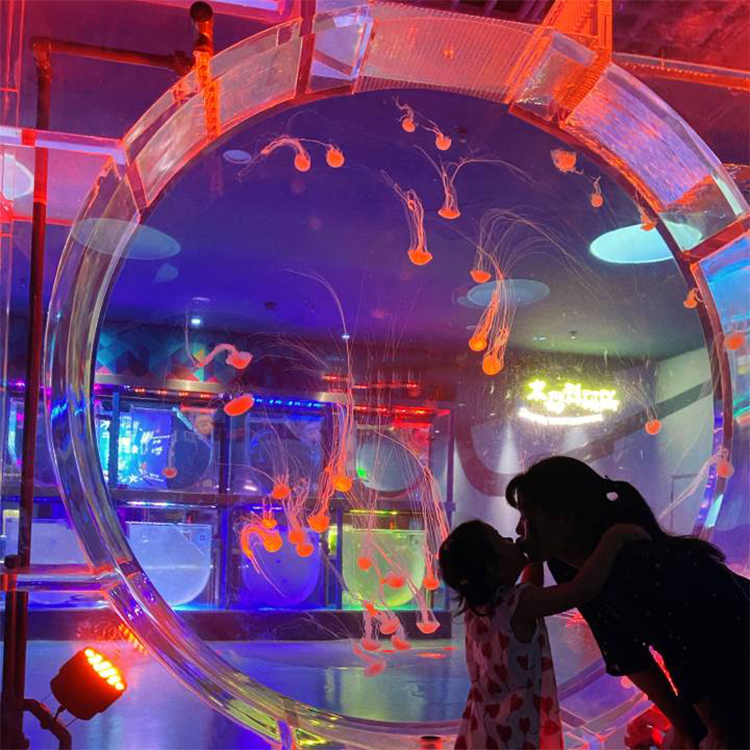 Cubic Aquarium Systems Премиум Медузы Аквариум с медузами Аквариум с медузами на настоящей луне - Leyu 